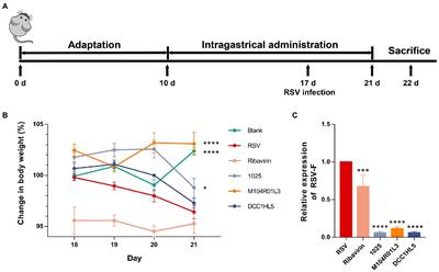 Lactobacillus mucosae exerted different antiviral effects on <mark class="highlighted">respiratory syncytial virus infection</mark> in mice